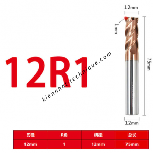 Dao phay Trụ cầu D12(R1)*30*75-4F