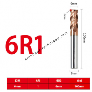 Dao phay Trụ cầu D6(R1)*30*100-4F
